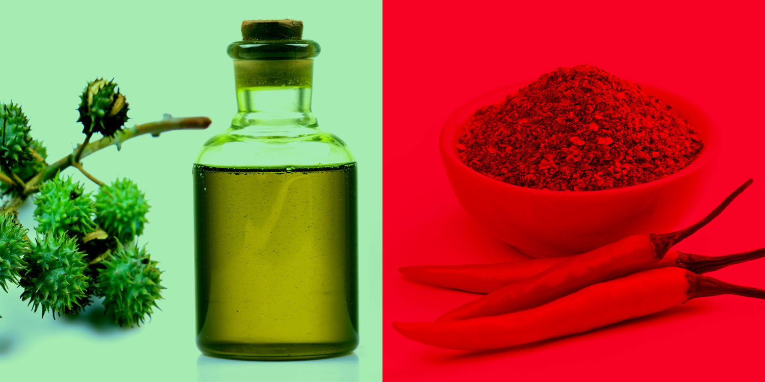 castor oil & cayenne pepper