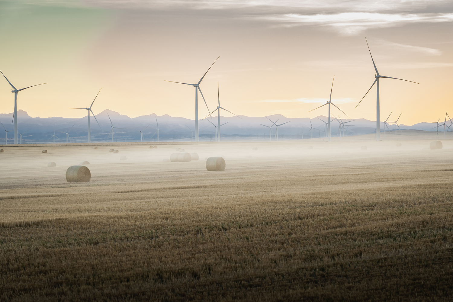 windmills in the distance behind a field of wheat and hay