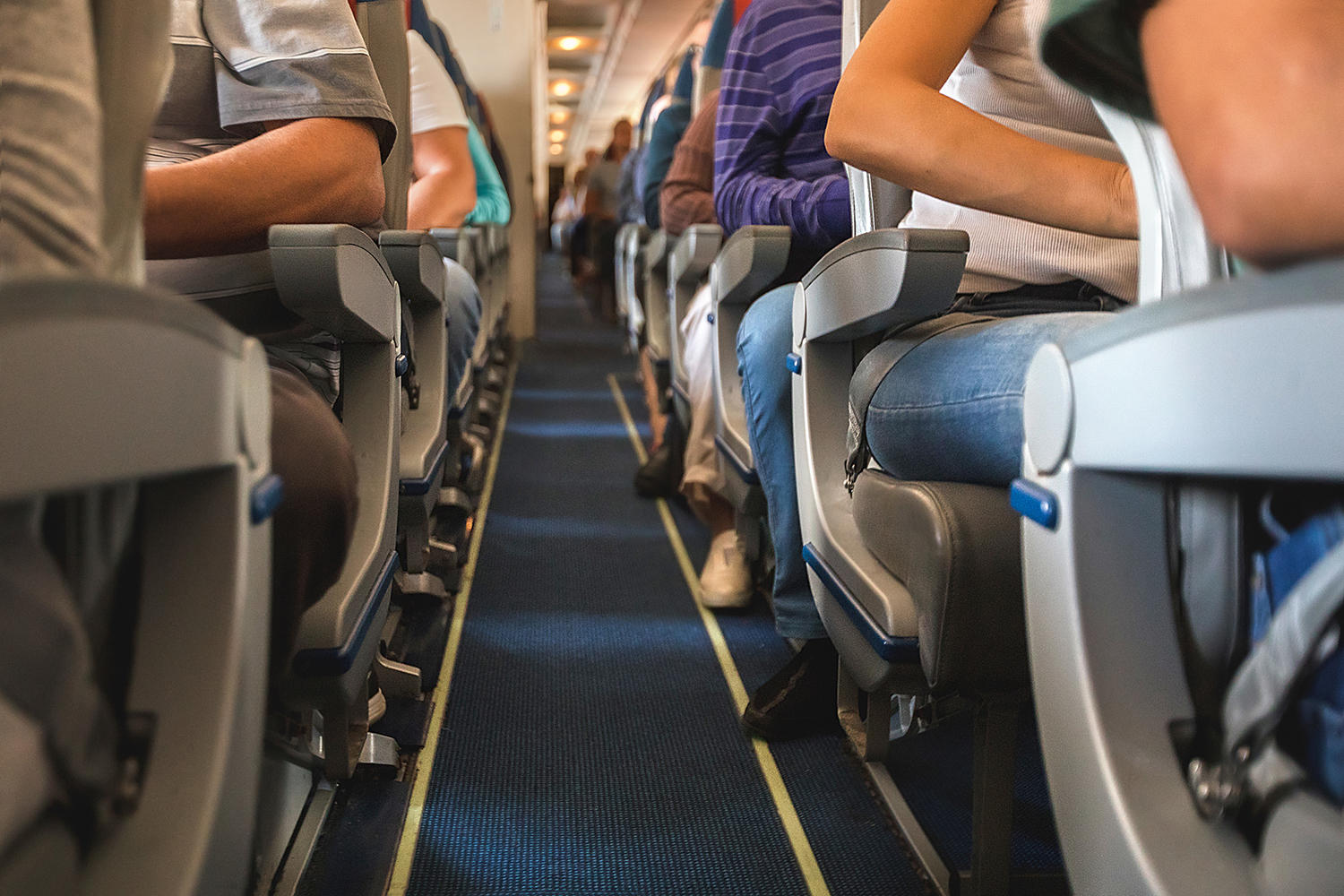 Rows of seating on an air plane.