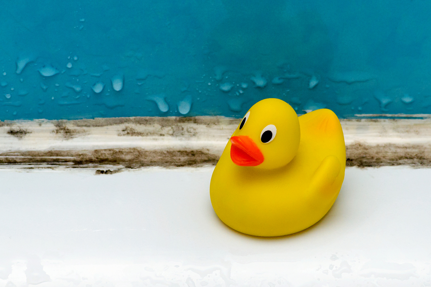 a rubber duck grossed out by mold in the bathroom