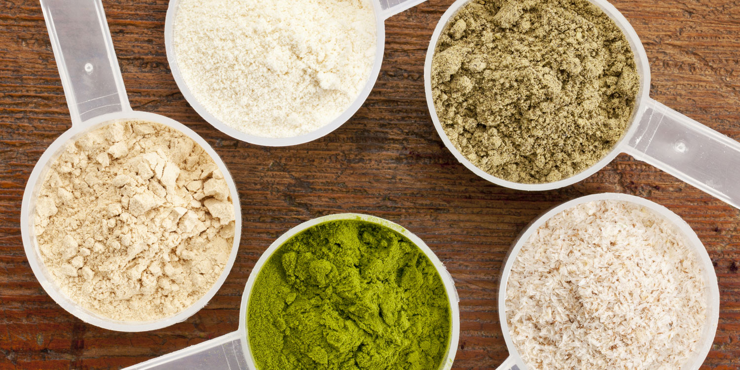 organic protein powder