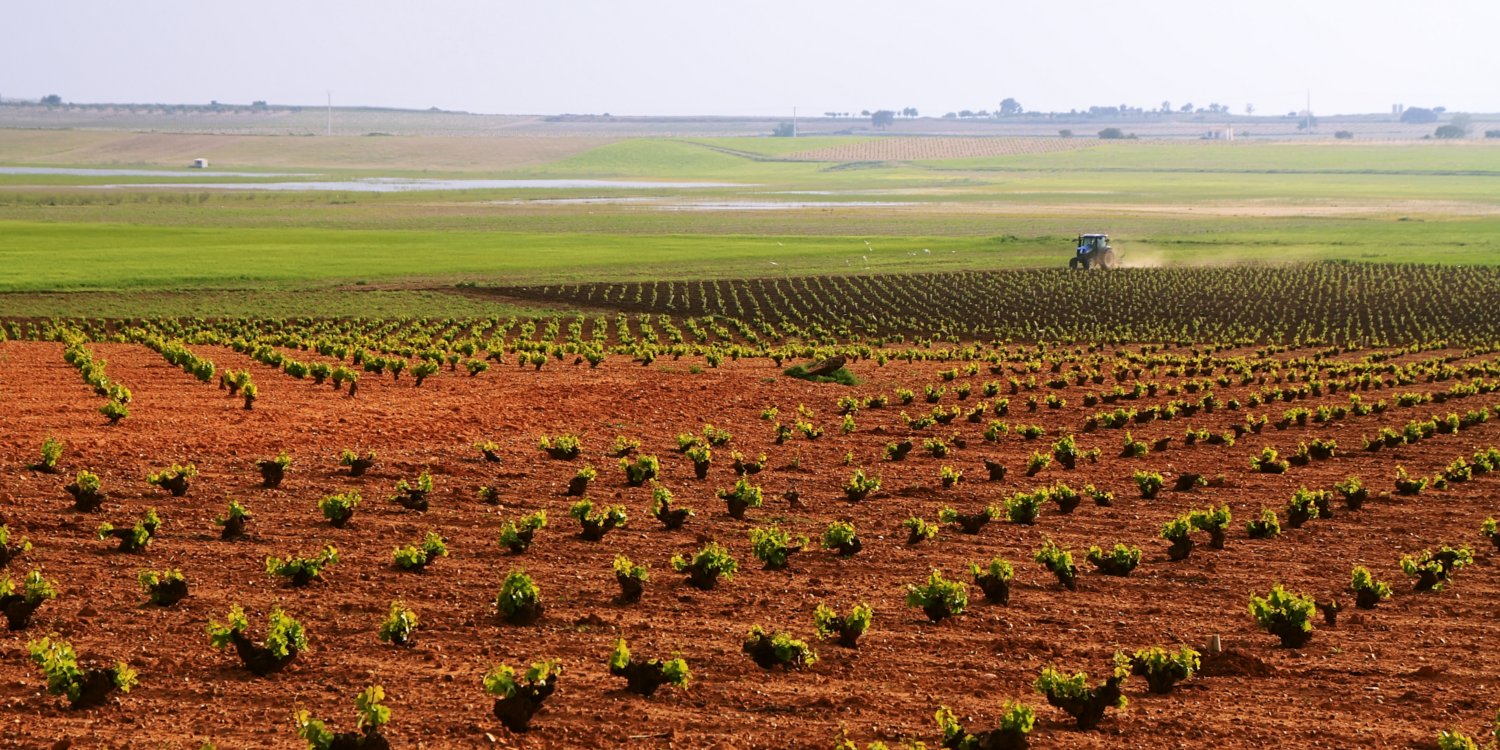 Can organic Farming feed the world?