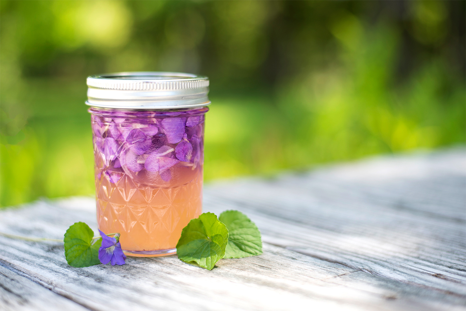 a jar of violet petals soaking into vinegar