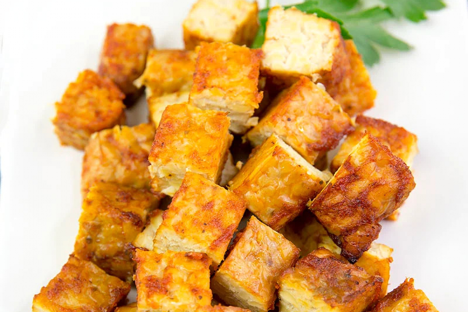 grilled and seasoned tempeh
