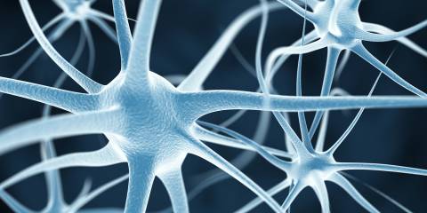 Blue nerves or neurons abstract background.