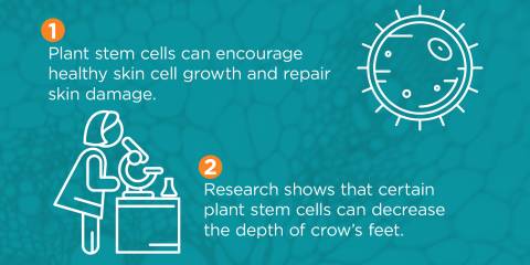 8 Facts about Naturally Healthier Skin