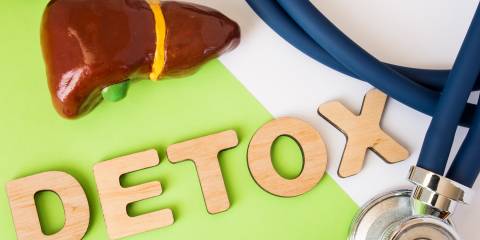 a model of the liver, and the word detox