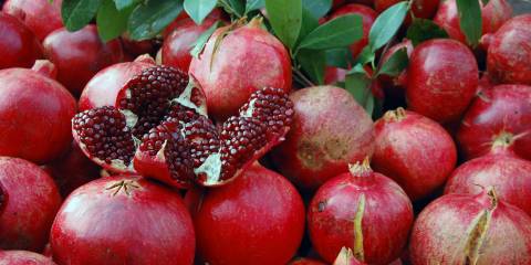 Pomegranate