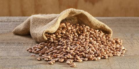 Burlap sack of pinto beans spilling onto rough grained wood.