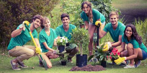 Turning Brown Thumbs, Green