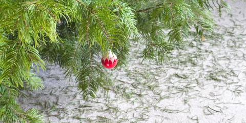 Christmas tree with needles underneath it after the holiday season.