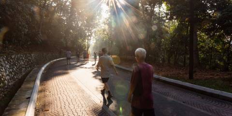 a group of strangers taking a brisk walk in the park