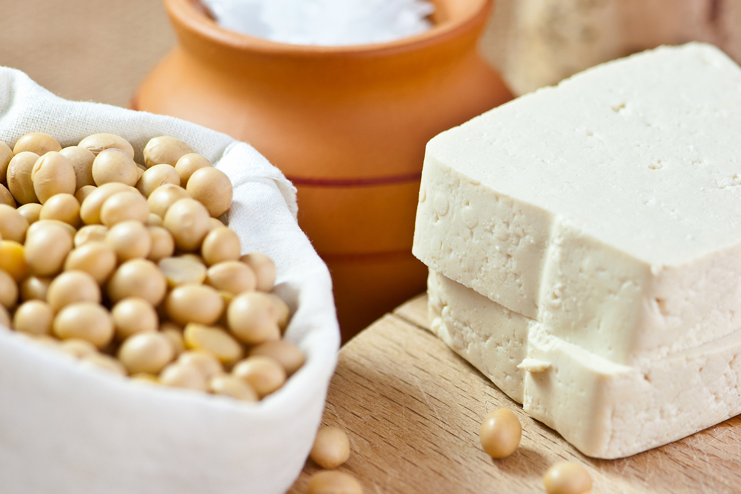 soybeans, nigiri flakes, and blocks of homemade tofu